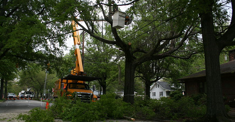 Vegetation management occurs around both large transmission lines and local distribution lines.