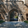Back to School: How Veoci Helps Universities Stay Organized