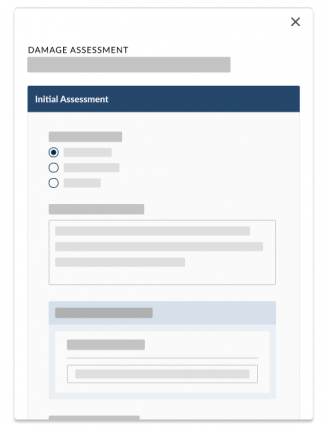 Damage Assessment Software for Government
