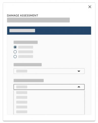 FEMA Public Assistance Software for Government