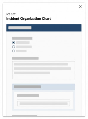 IAP & ICS Forms Software for Higher Education