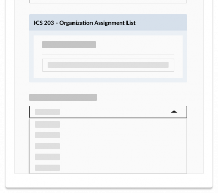 IAP & ICS Forms Software for Higher Education